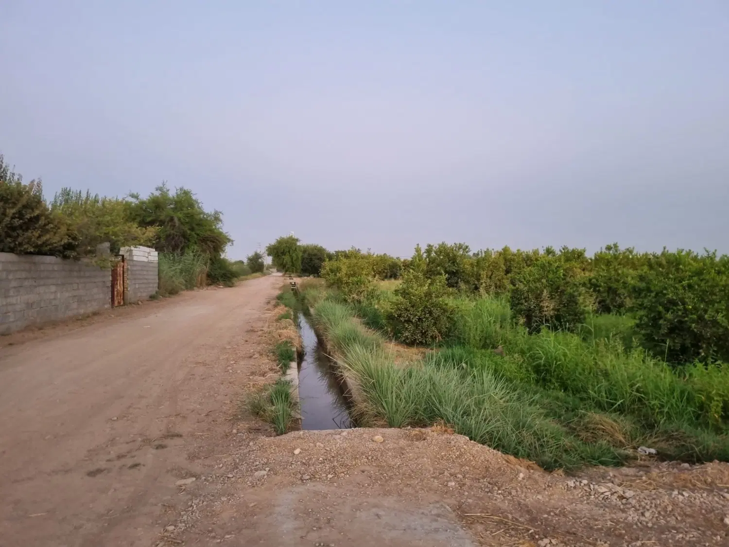 یک هکتار باغ عباس آباد