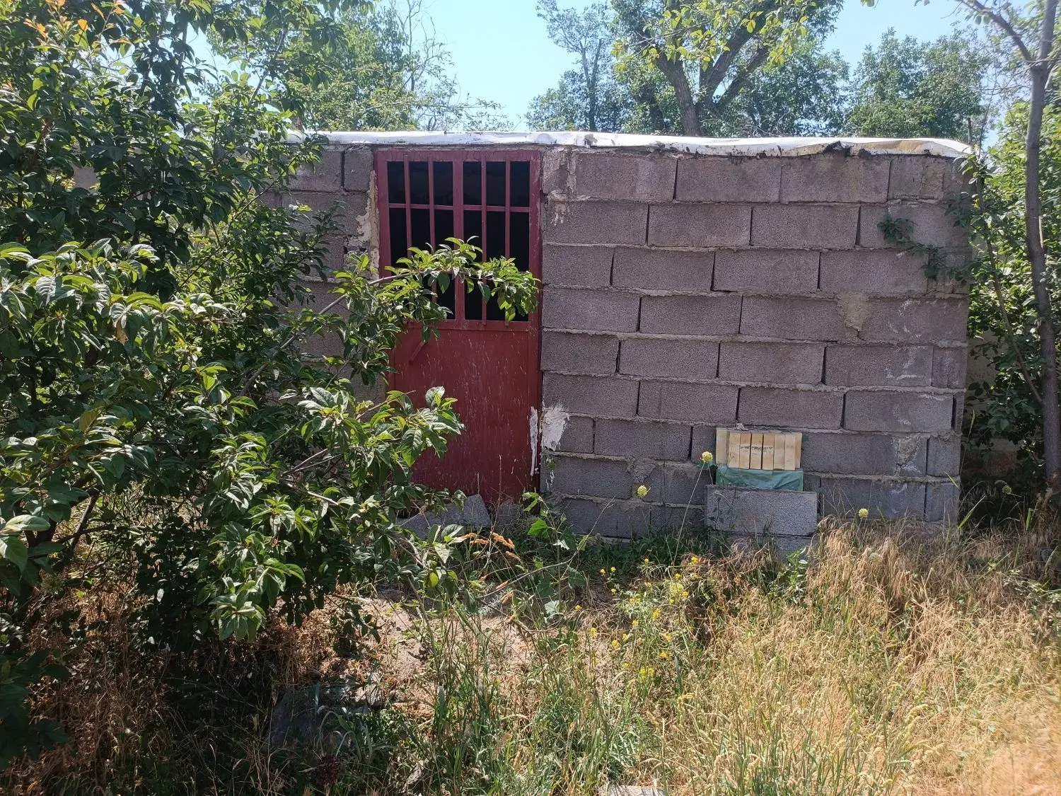 زمین چهار دیواری سنگستان