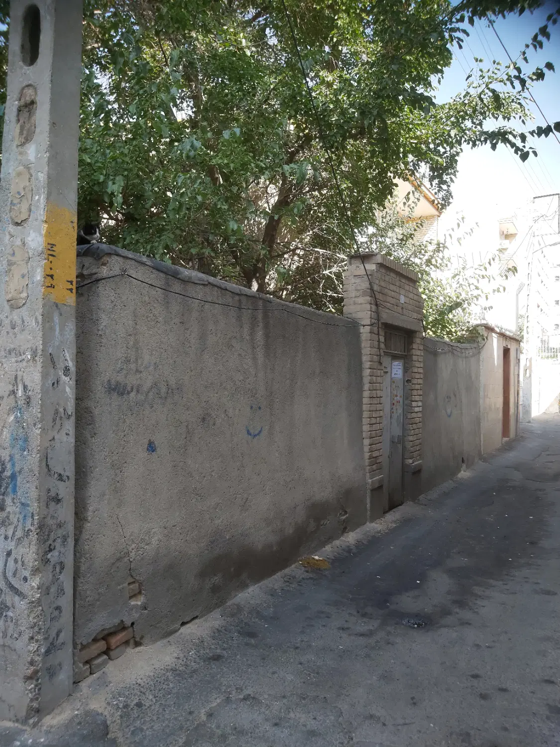 حیاط مسکونی پاستور جدید