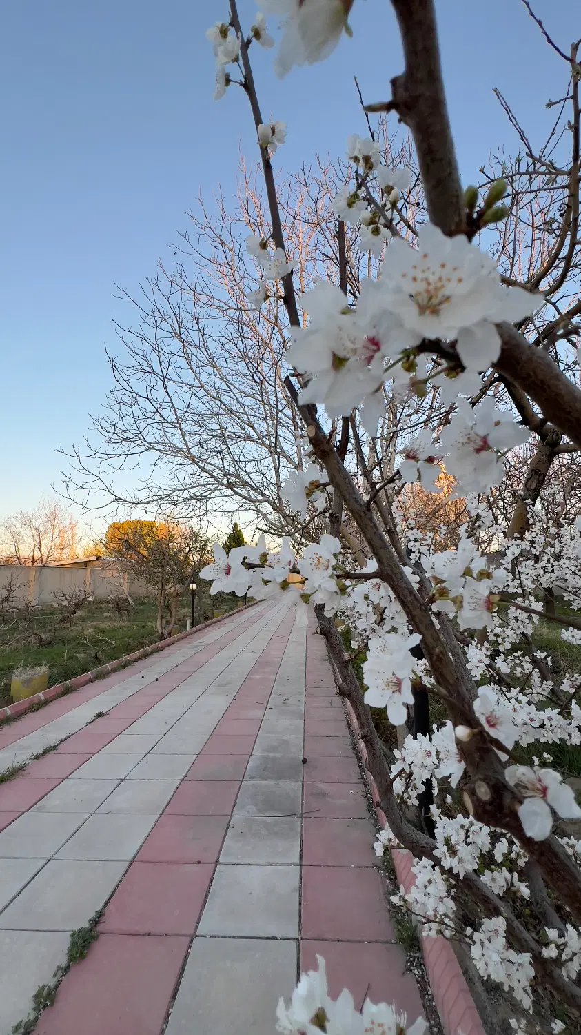 باغ_ویلا