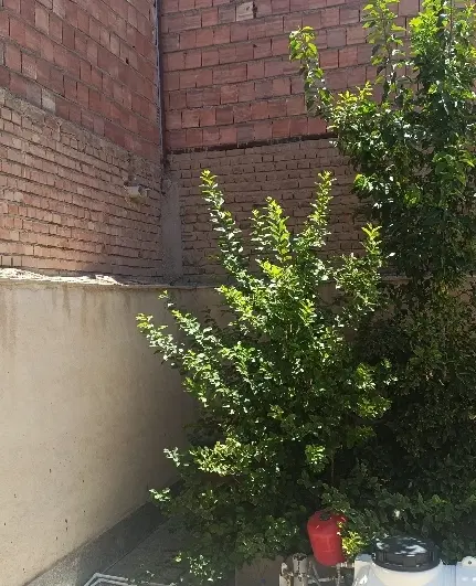 خانه جنوبی 7ونیم قصب