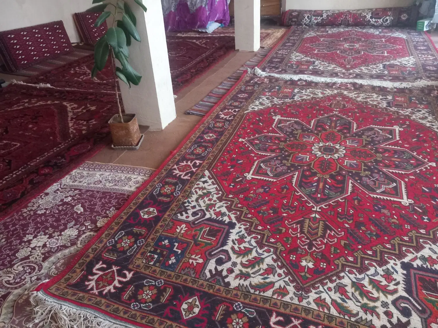 فروش حیاط