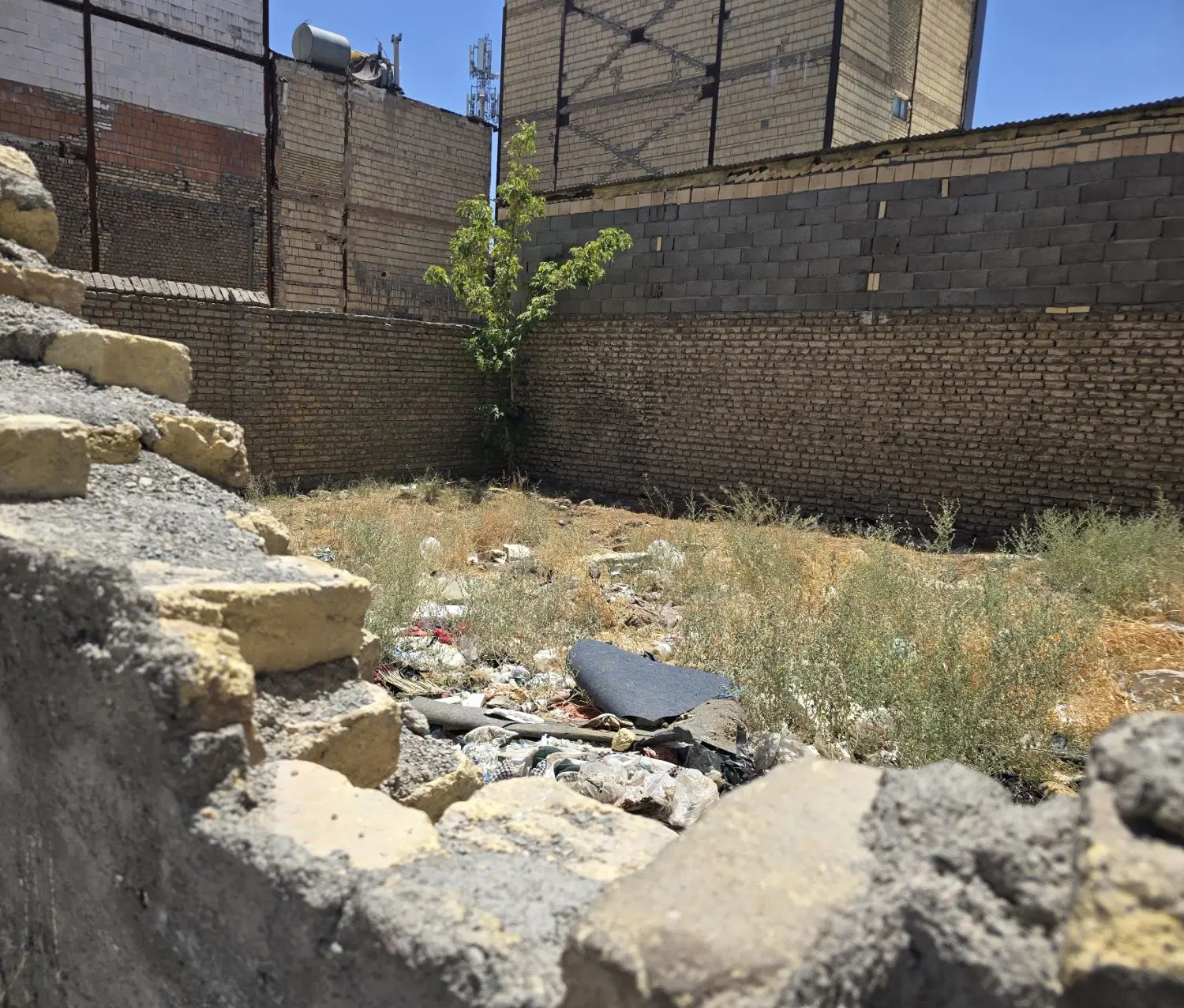 ۱۲۴ متر زمبن سنددار علیمردانی ۳۳