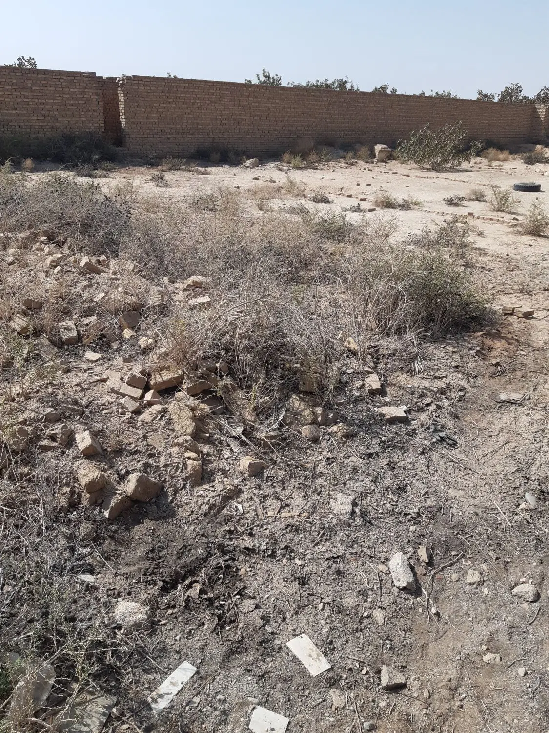 فروش زمین