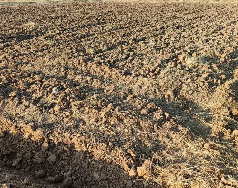 زمین کشاورزی مناسب احداث باغ