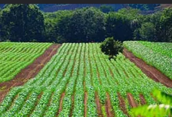 زمین زراعی قنات ناصری