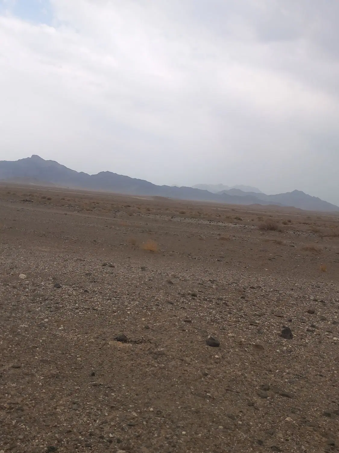 زمین کنار شهرک کالیکه