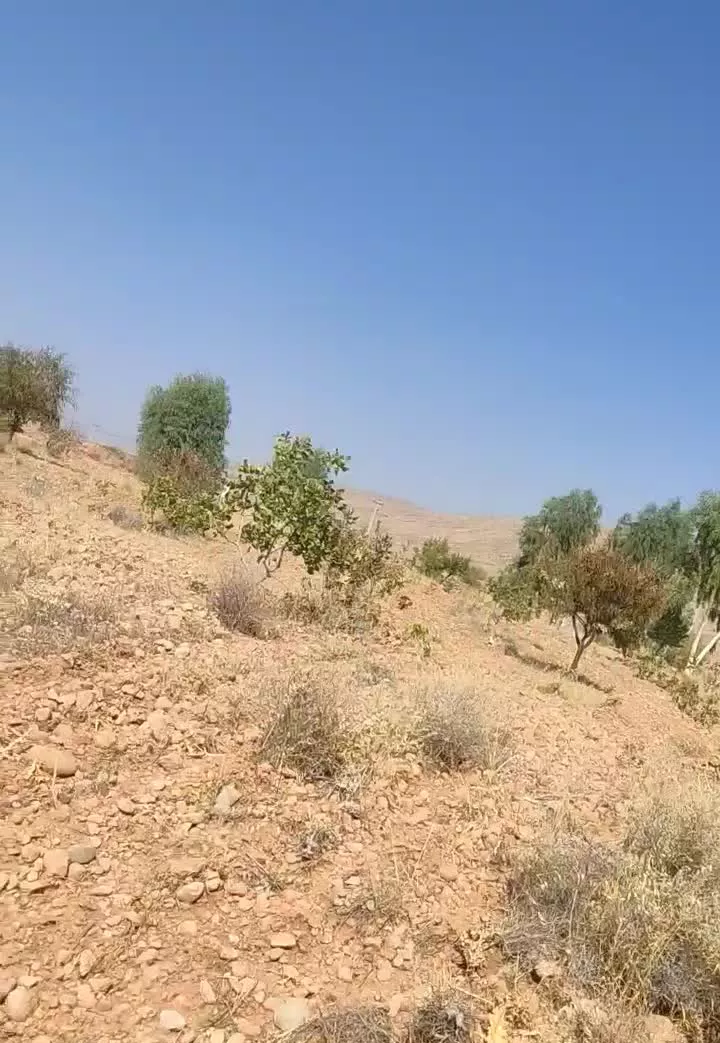 زمین باغ شهری اول خالداباد داریون