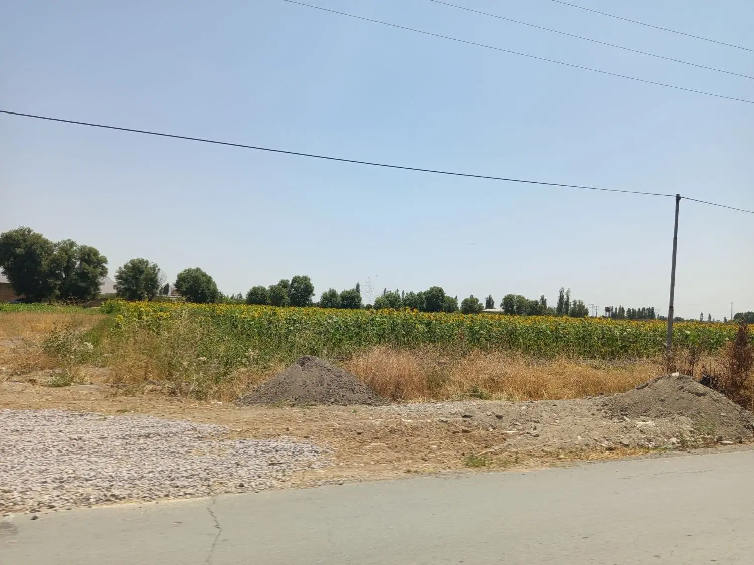 زمین تجاری بر روستای شورکند