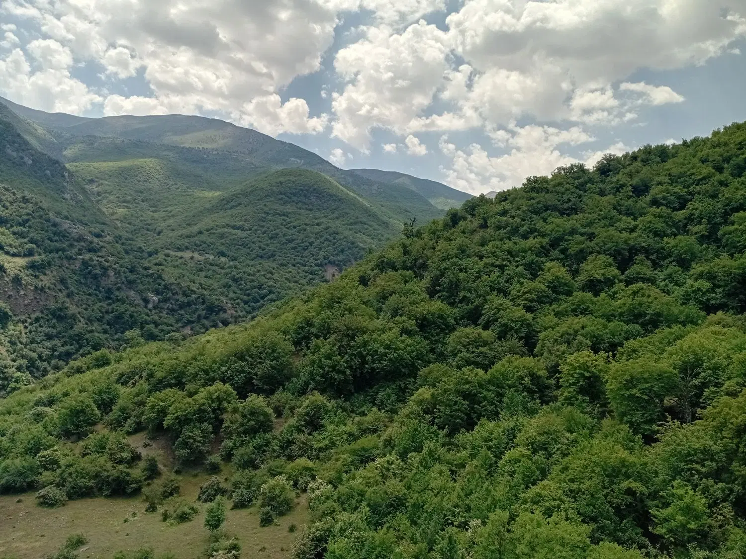 زمین عالی کلاسنگیان