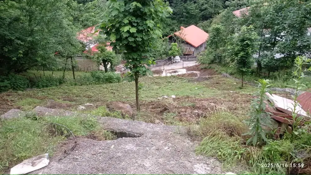 زمین مسکونی جنگلی سیاهکل با سند و جواز ساخت