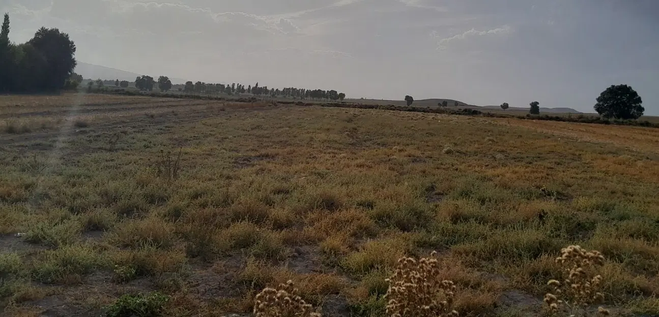 زمین فروشی سند رسمی