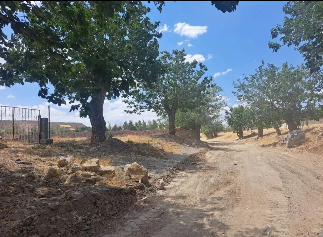 فروش استثنایی زمین شاندیز گراخک