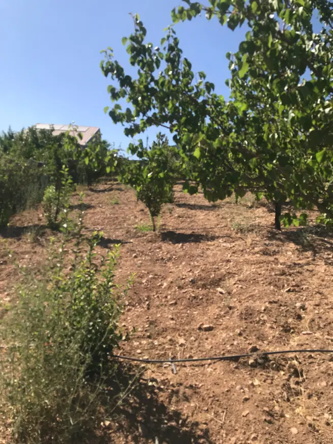 ۹۰۰متر باغچه ۷۰متر بنا