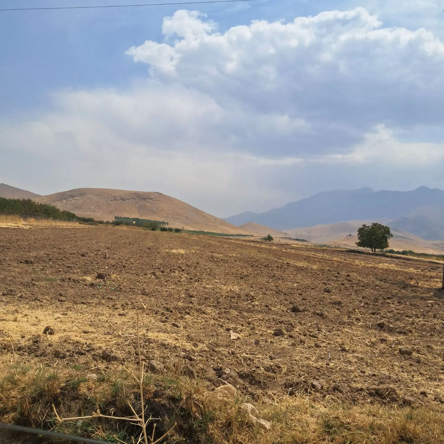 زمین