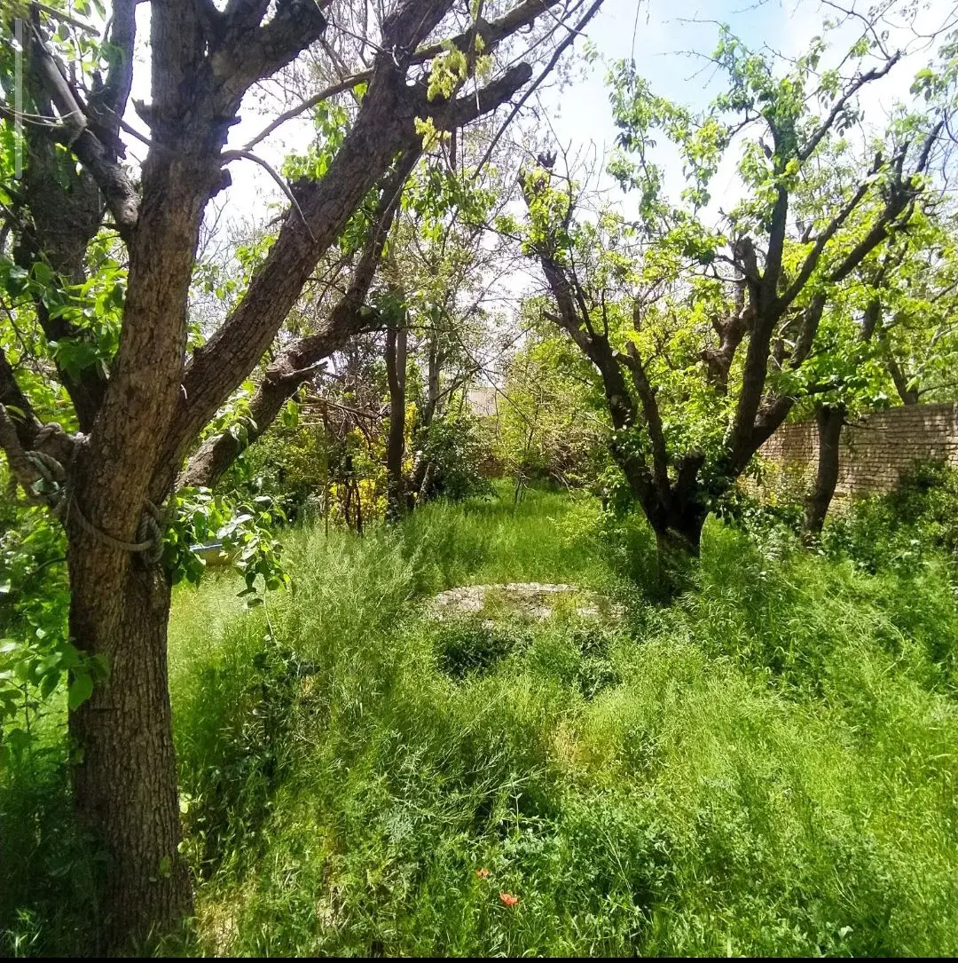 غدیر شهر  اول فاز دو خیابان ۱۸متری