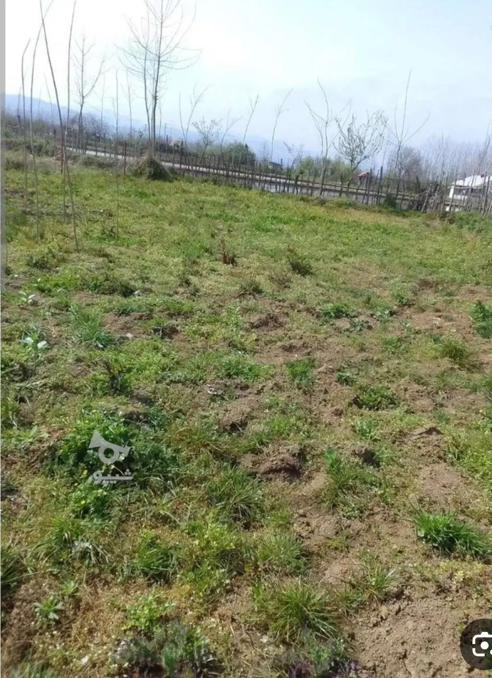 زمین مسکونی 286متری 3نبش محدوده محمودآباد