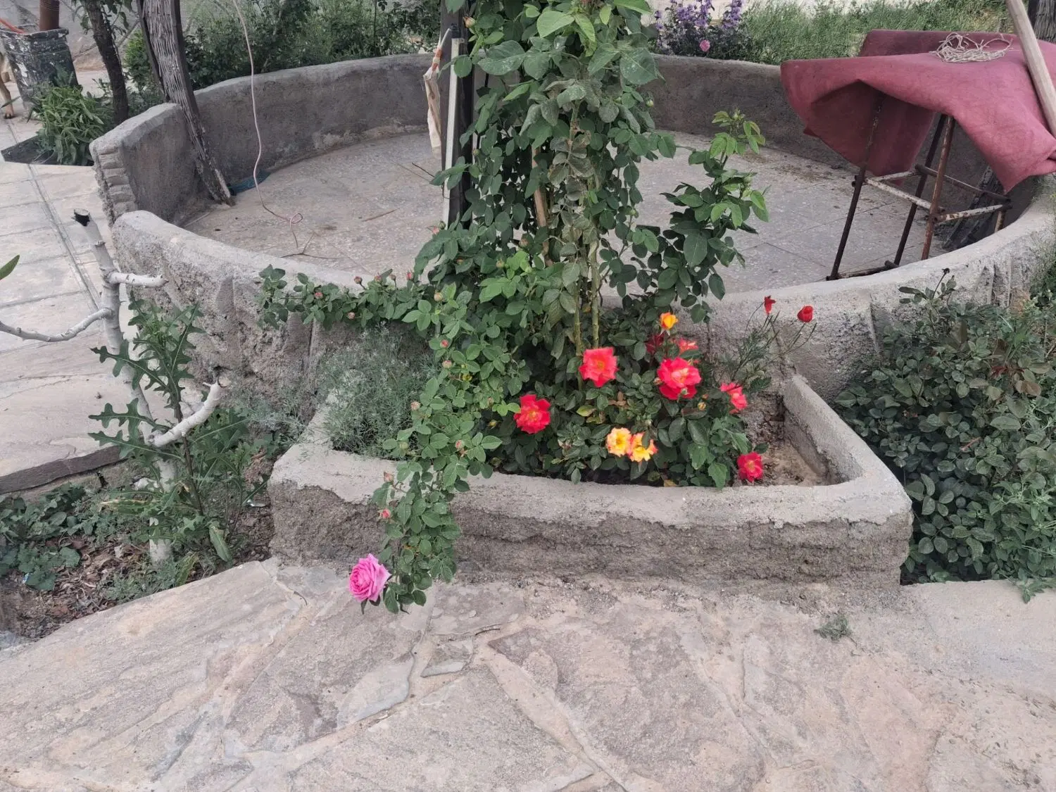 باغ ویلا معاوضه نقدی