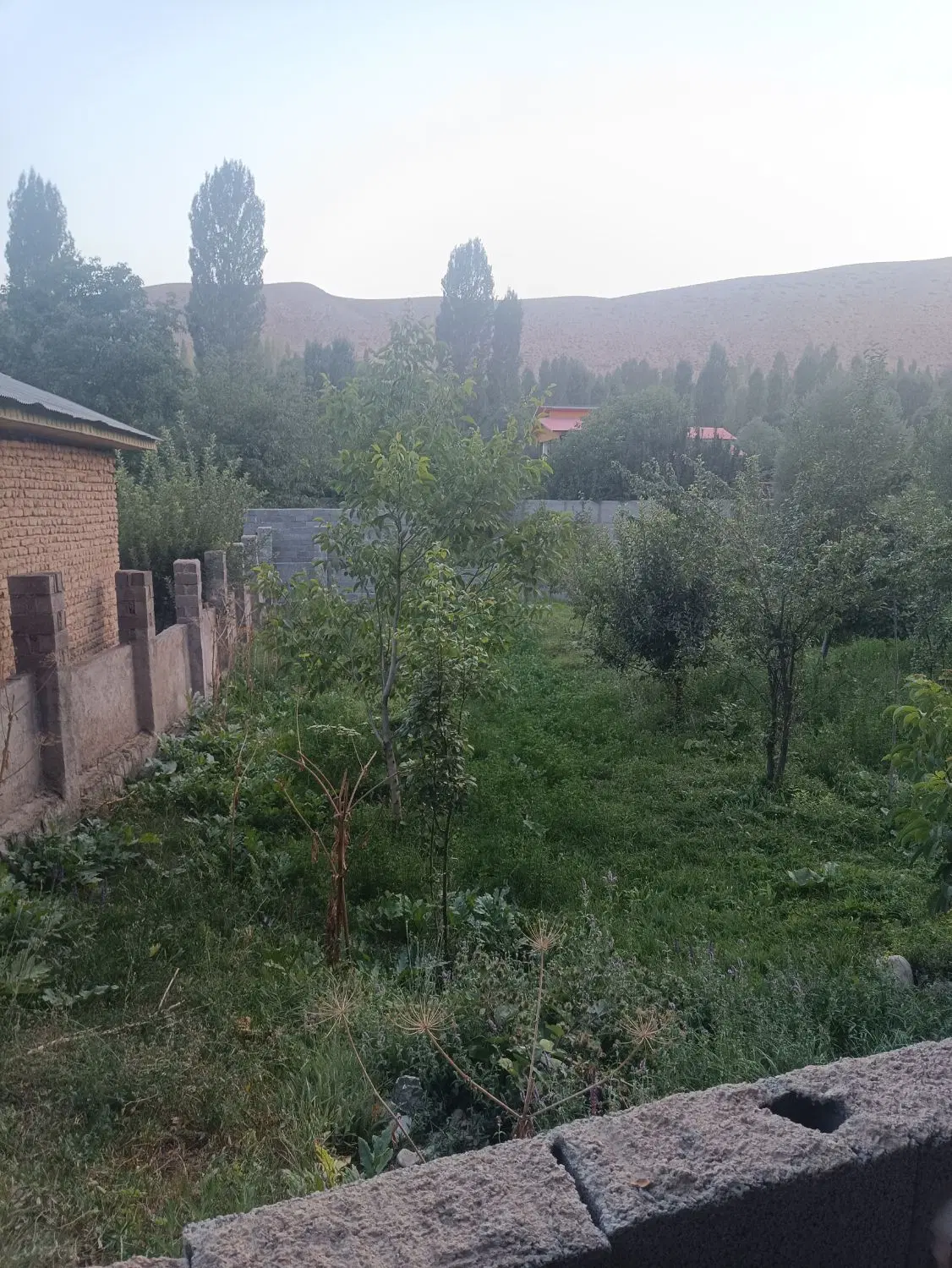 باغچه ویلایی در نام آور