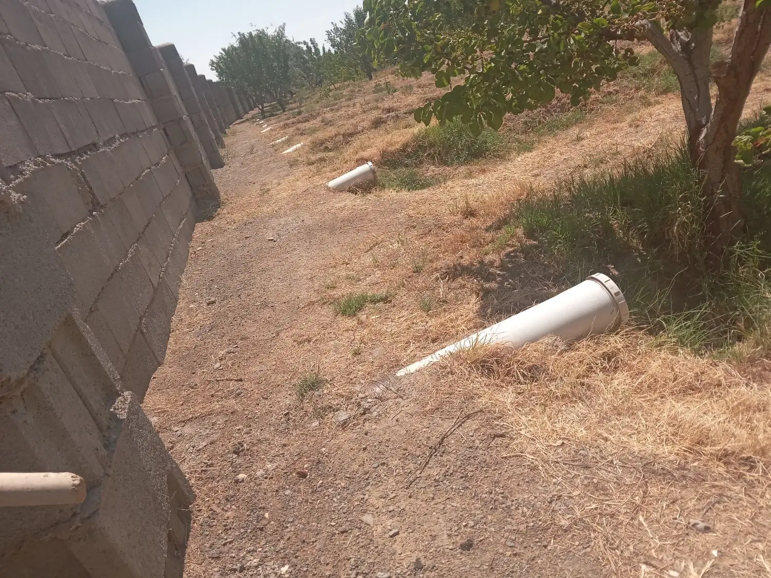 باغ بندر شرفخانه
