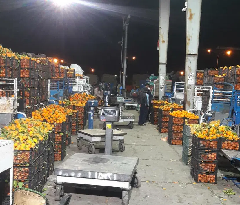 اجاره حجره میدان تره بار