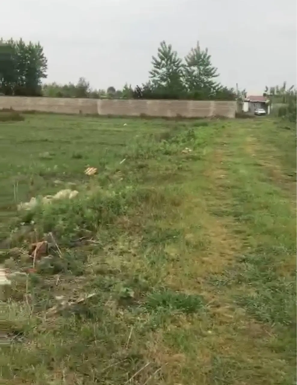 شراکت در زمین