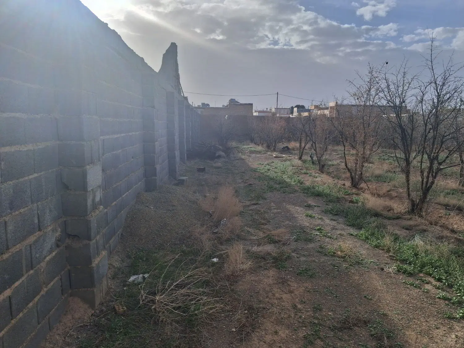 باغ انار