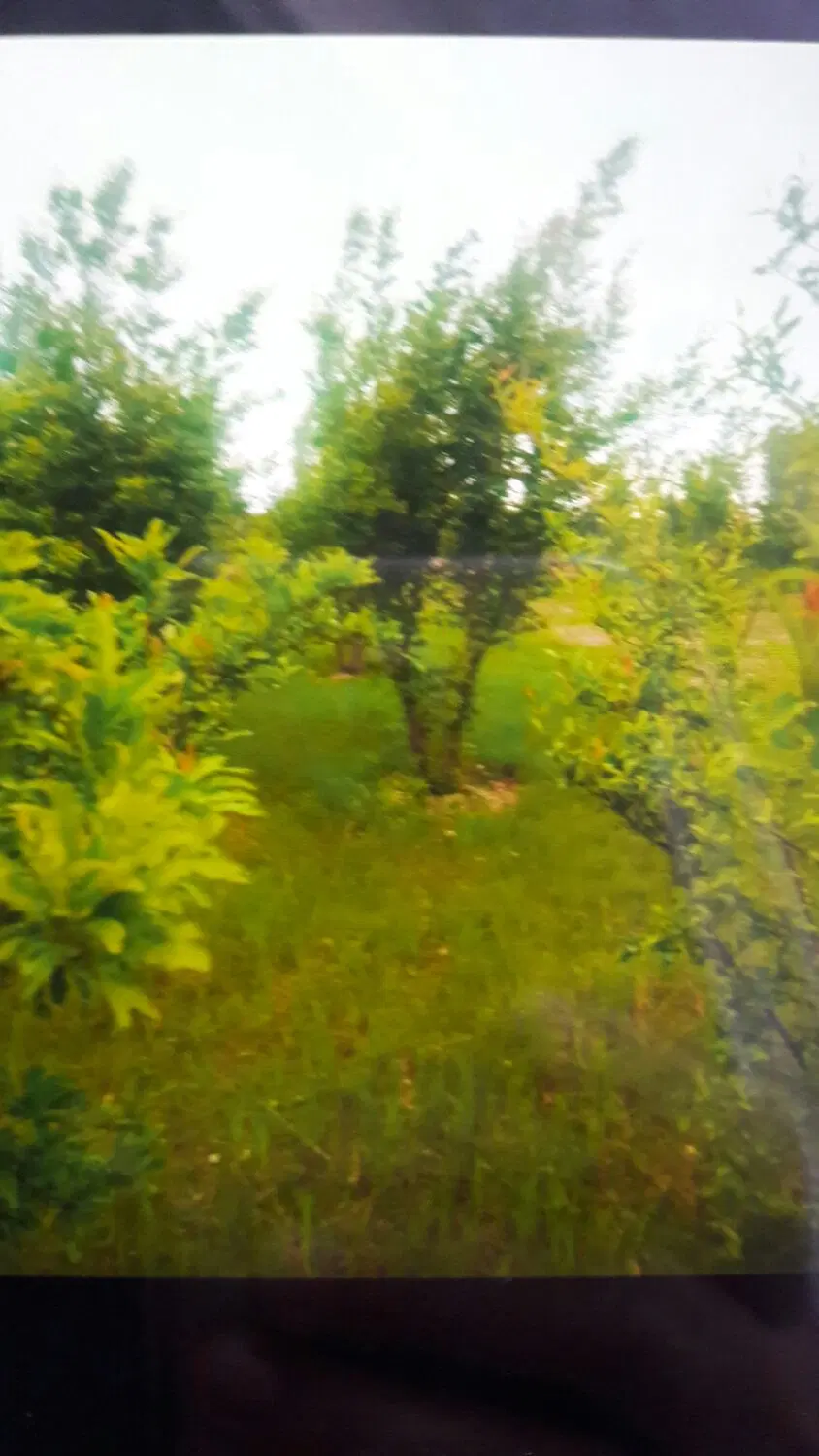 زمین قواره ای