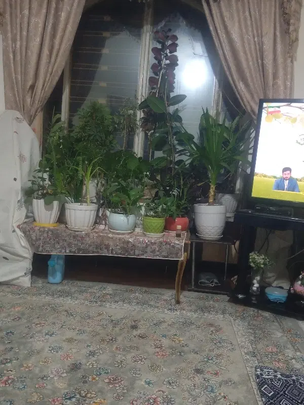 منزل اجاره ای