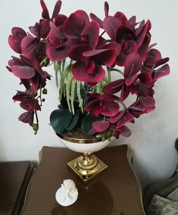 ۵۰ متری زینتی افخم _سالن پرده خور_غرق نور