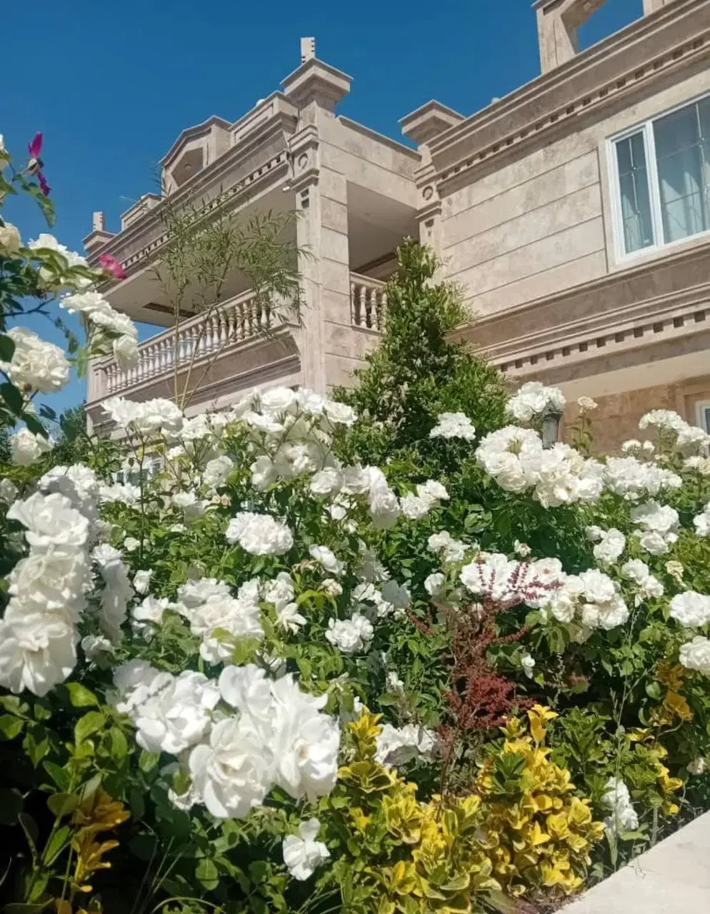 باغ ویلا اکازیون ۷۲۰ متر ۱۸ میلیارد