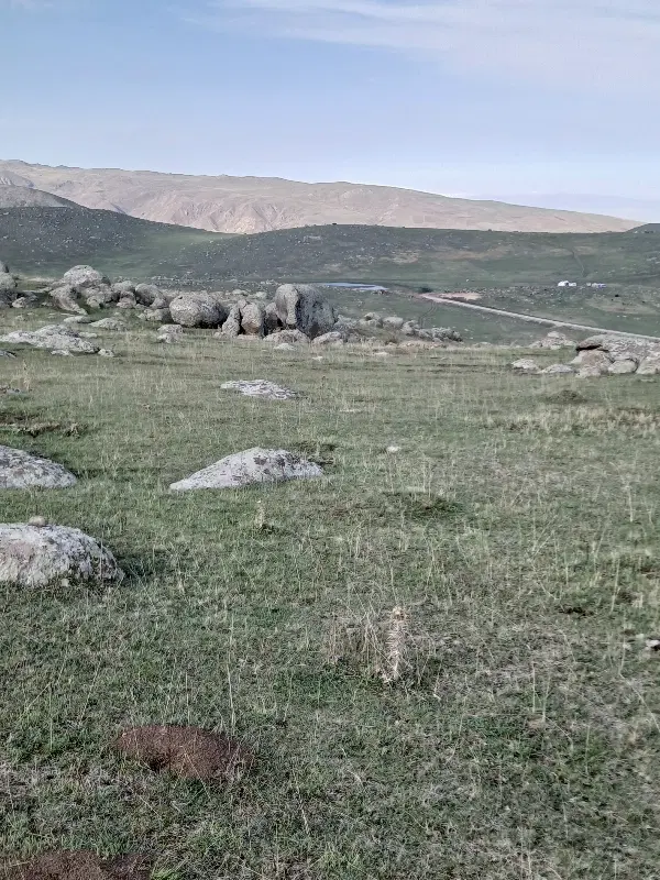 یلاق