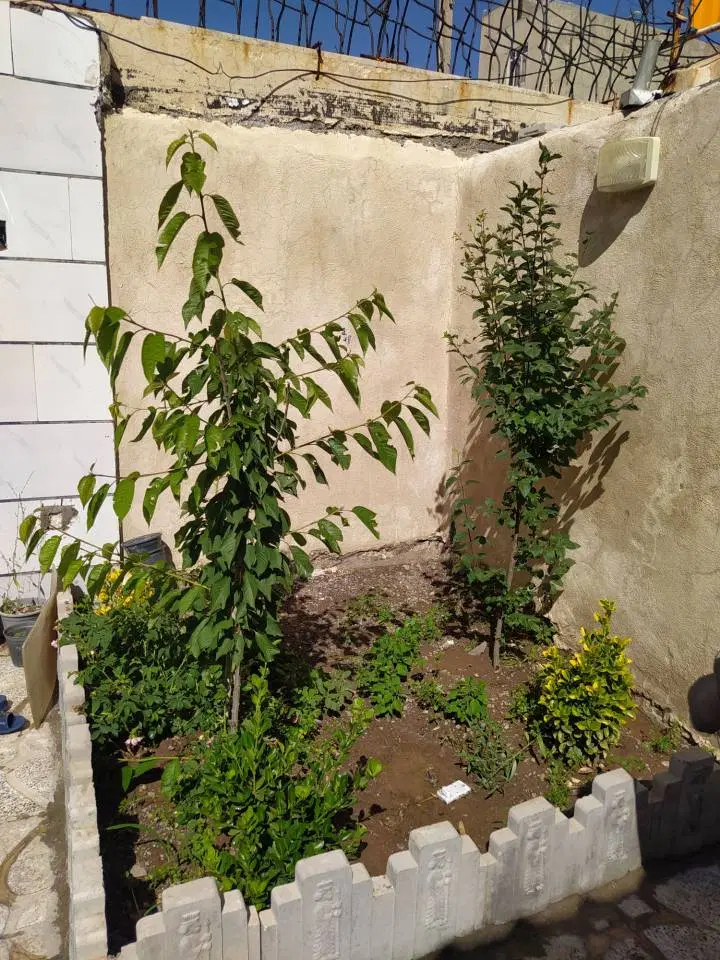 ویلایی و آپارتمان اجاره باورس