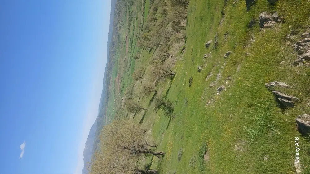 زمین هواره برزه