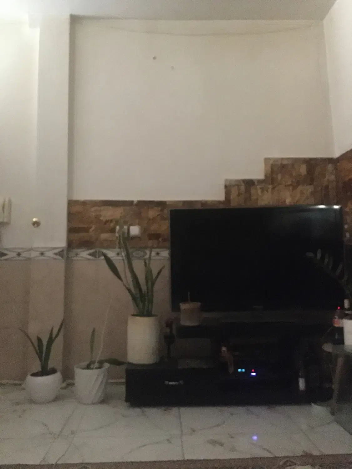 همخونه خانم