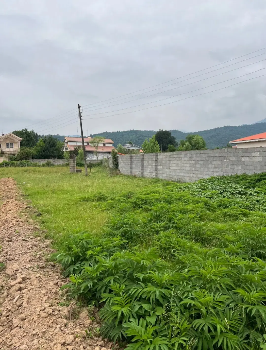 وشمه سرا کوچه علیدوست