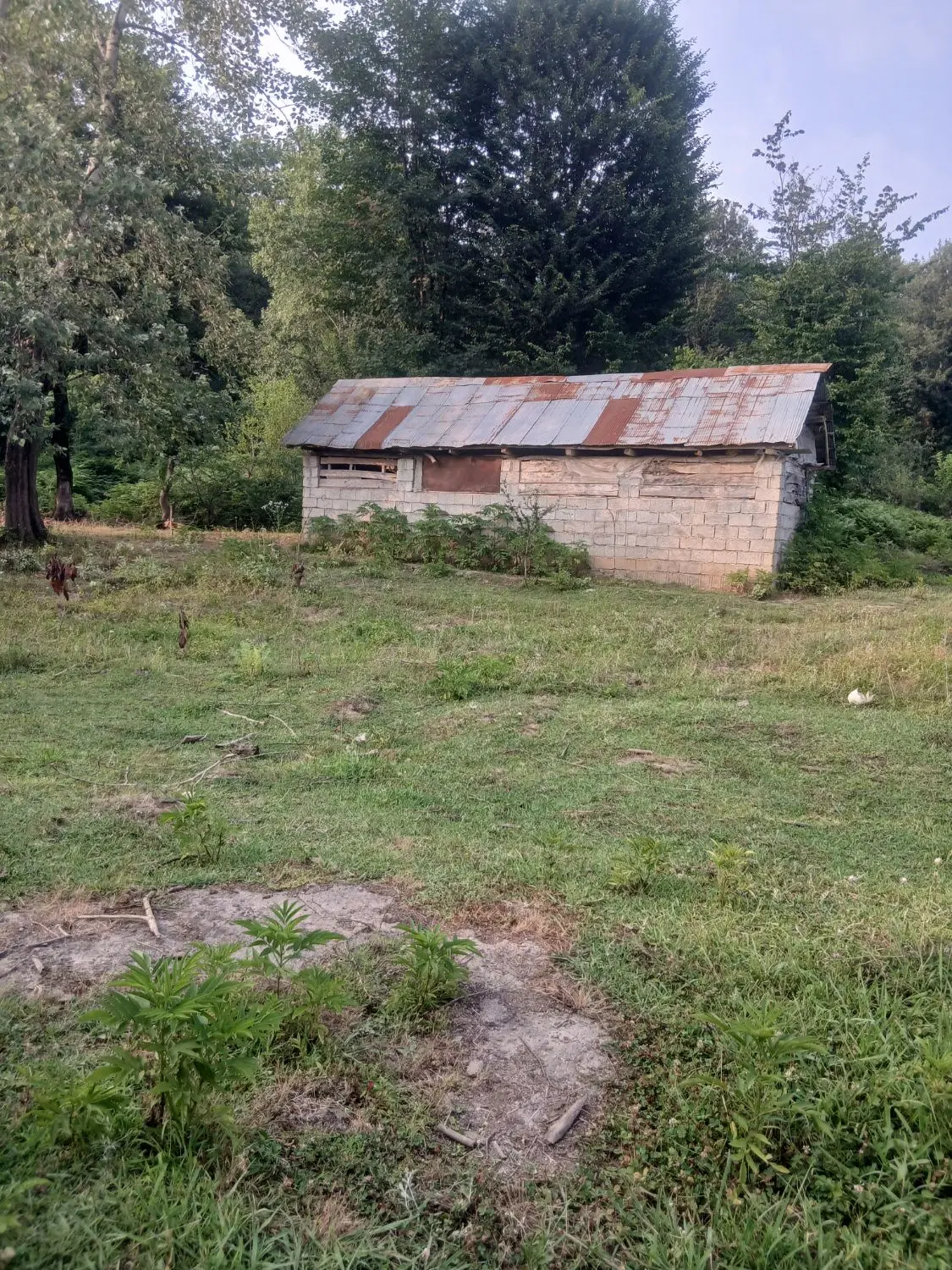 زمین مسکونی با انباری در روستای اشکجانپهلو