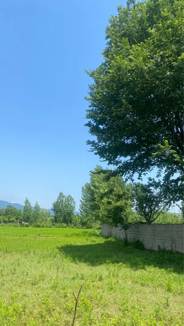 فروش زمین مسکونی ۲۵۰ متری
