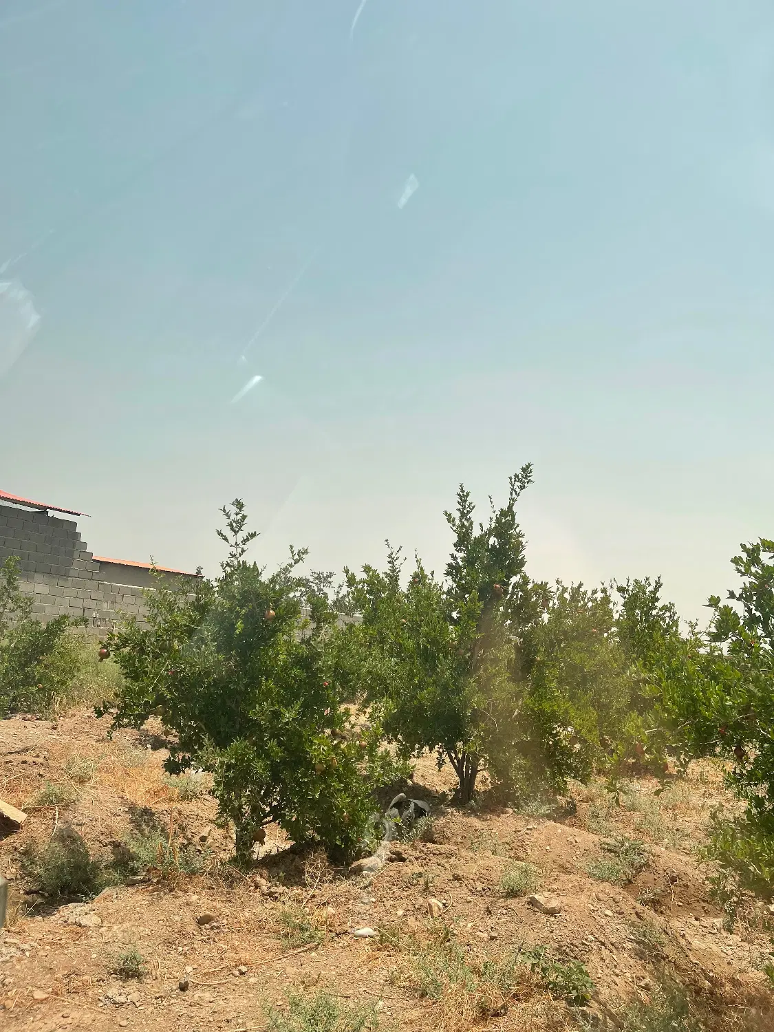 باغ ۴ دیواری داخل شهرک سیدقلی