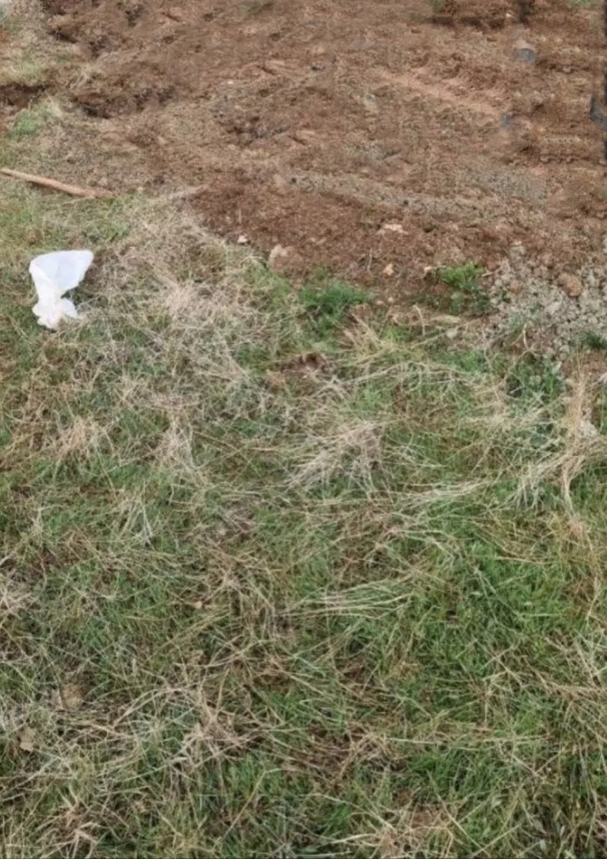 باسلام سرمایه گذاری