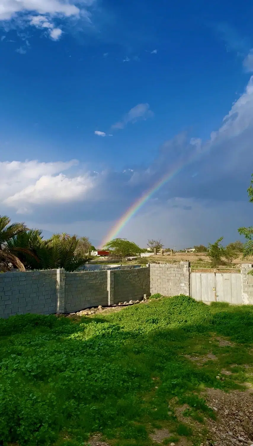 زمین اول سرخون