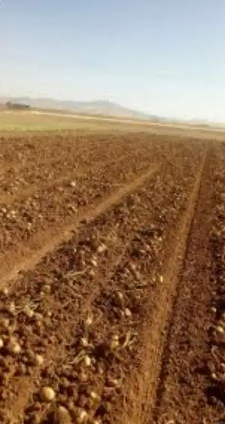 زمین روستای کفراج با دیوار کشی