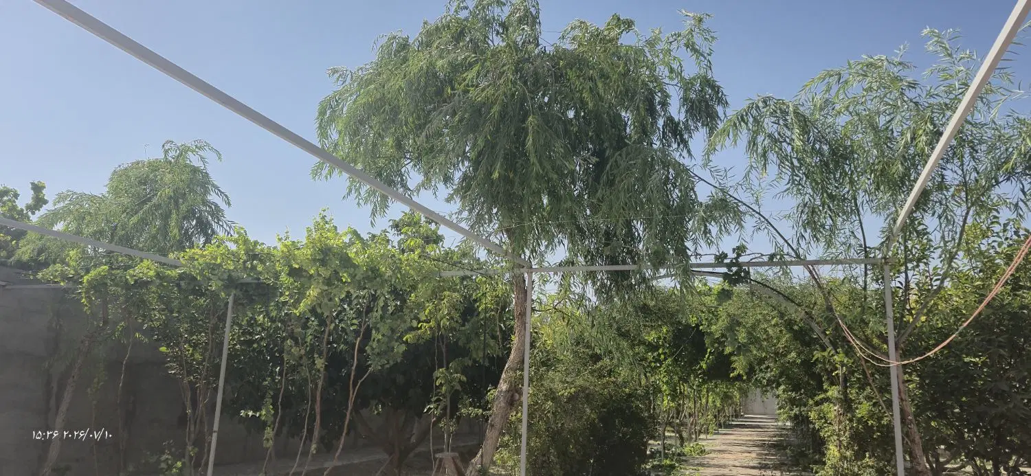 باغ ویلای بسیار دلنشین
