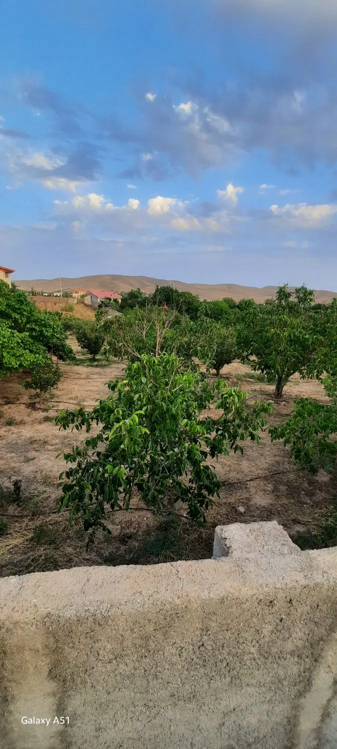فروش زمین