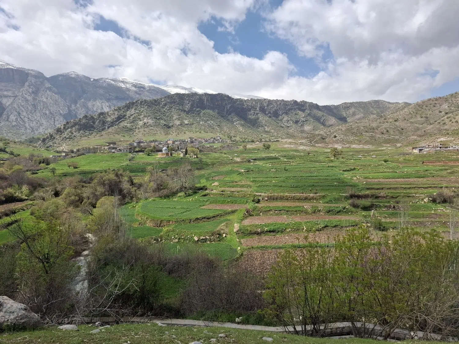 محصولات باغی