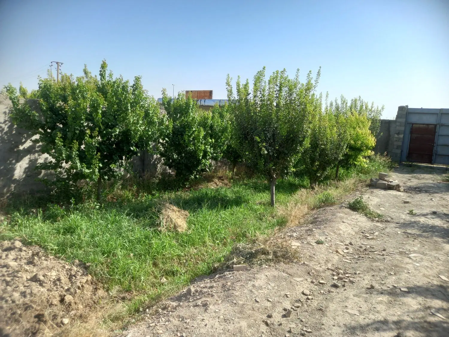 باغ ۹۰۰ متری در نسیم شهر