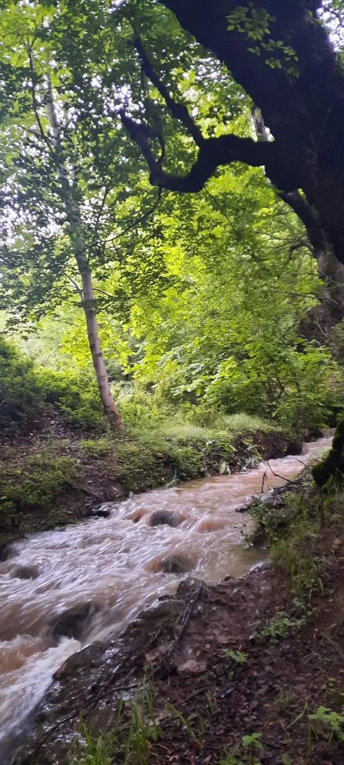 خرید فروش زمین در روستای نیرس وبسطام