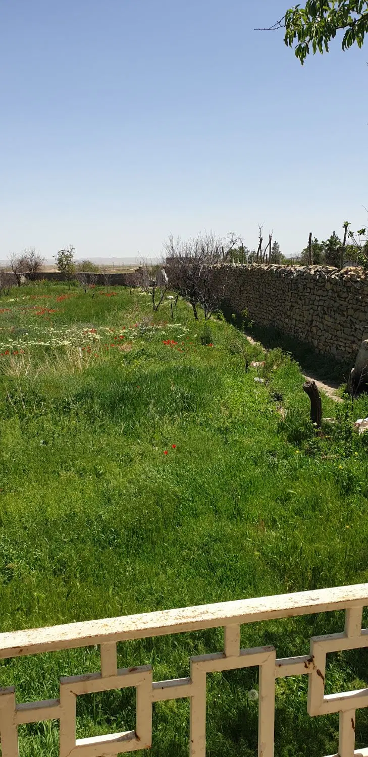 زمین‌ باغ