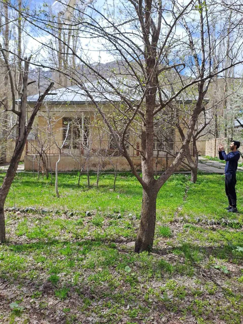 باغ ویلای ۵۴۰ متری کنار جاده چالوس ، سند رسمی
