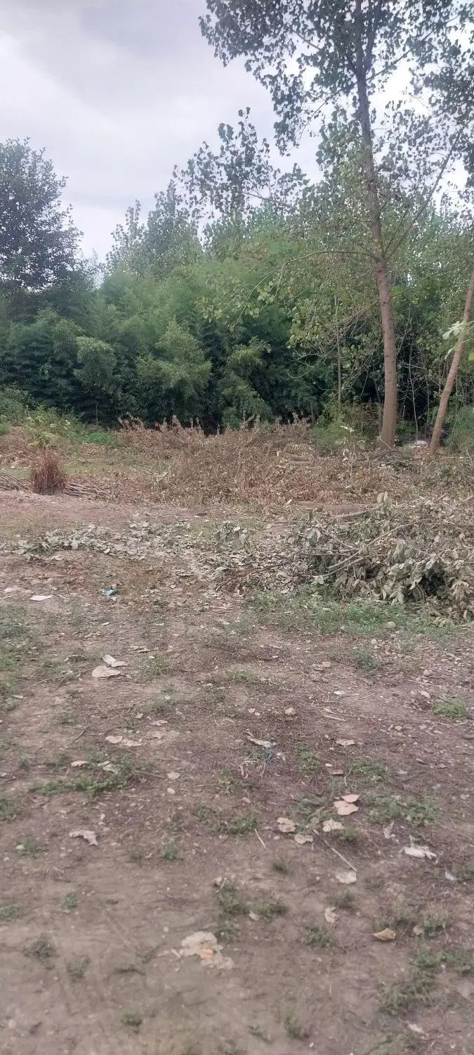 زمین مسکونی